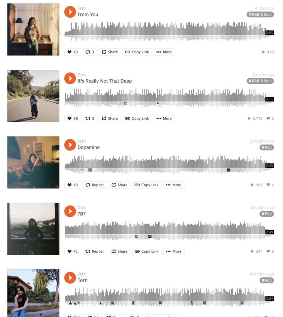 tash soundcloud