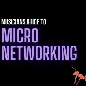 Micro Networks for musicians